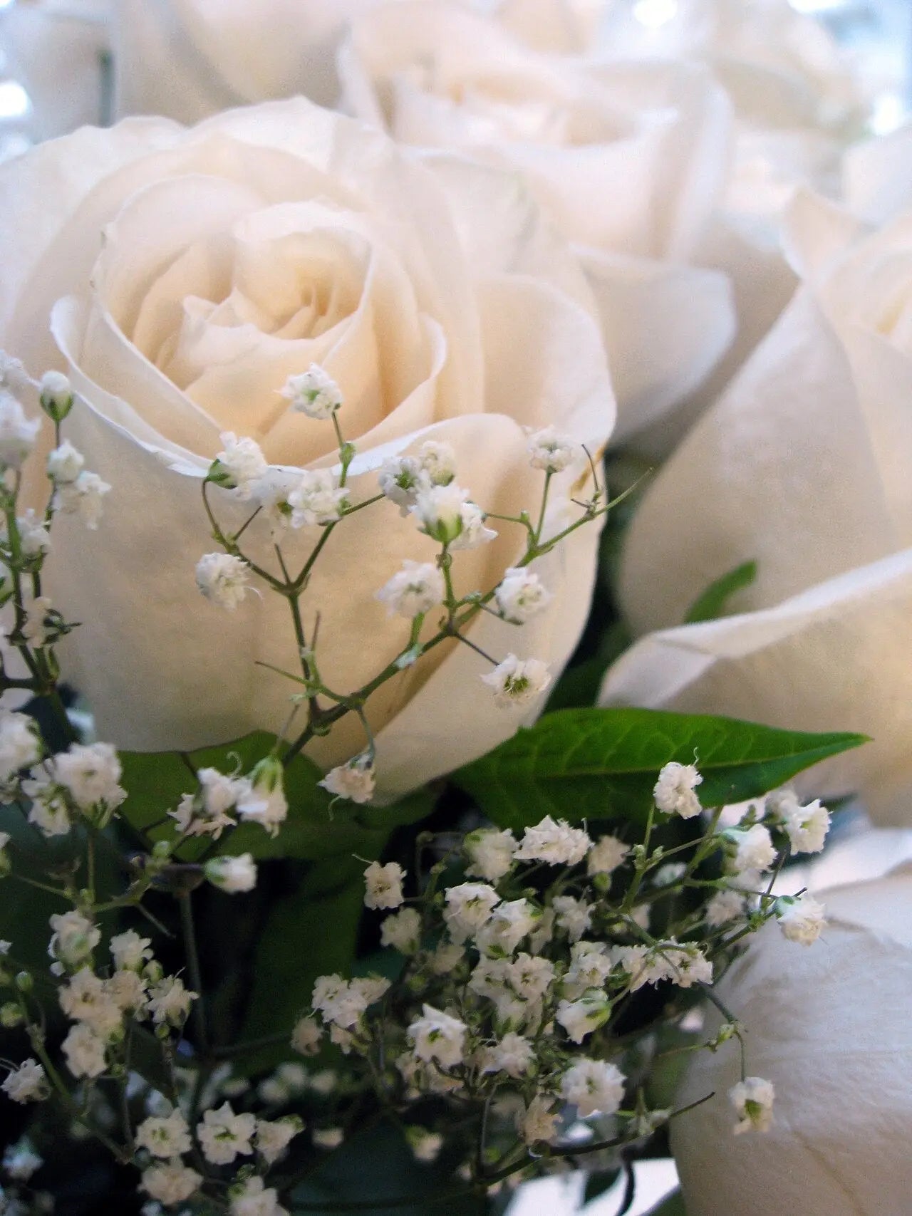 Gifts for Her: How to Choose Roses Without Going Romantic Roses Everywhere