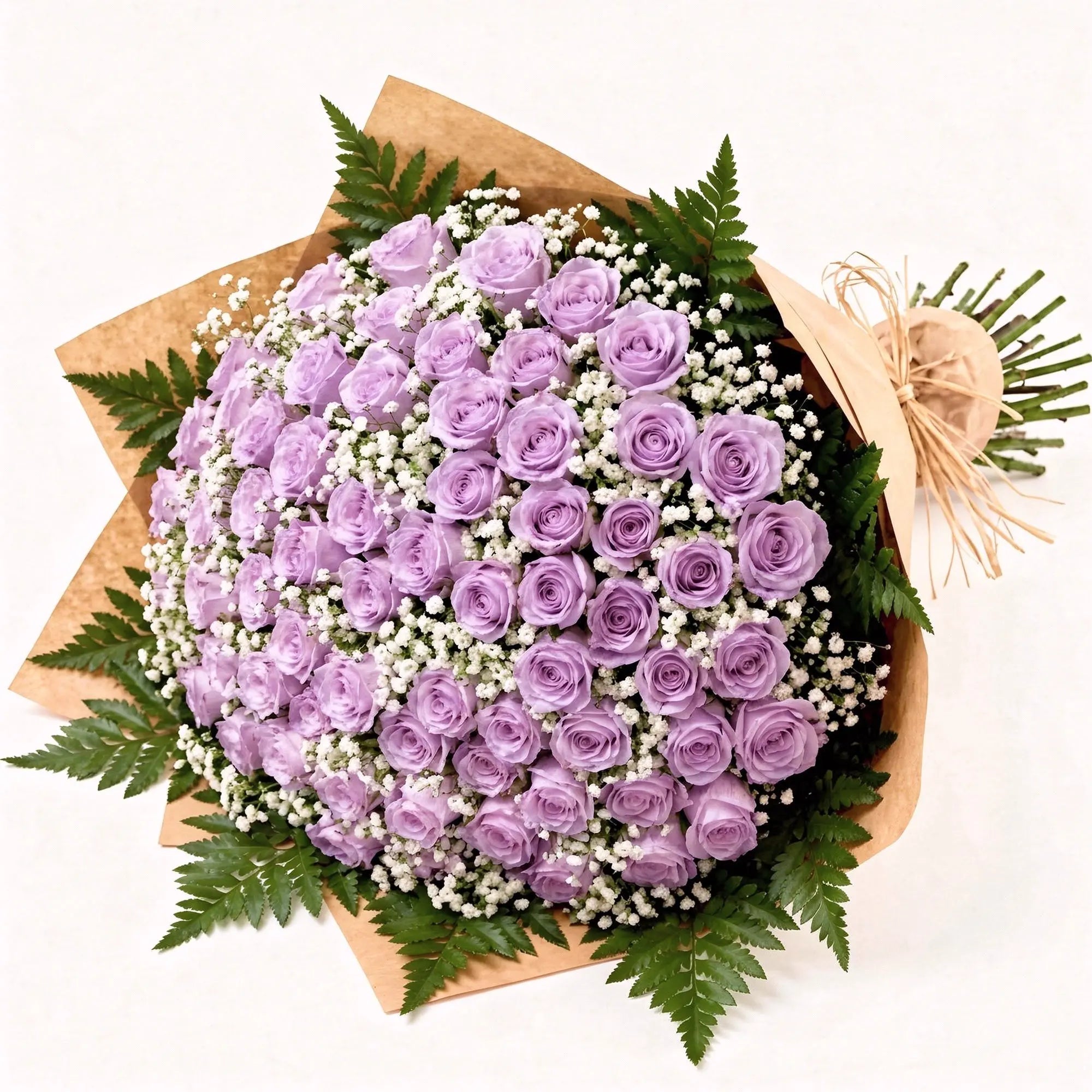100 Lavender Roses - Roses Everywhere