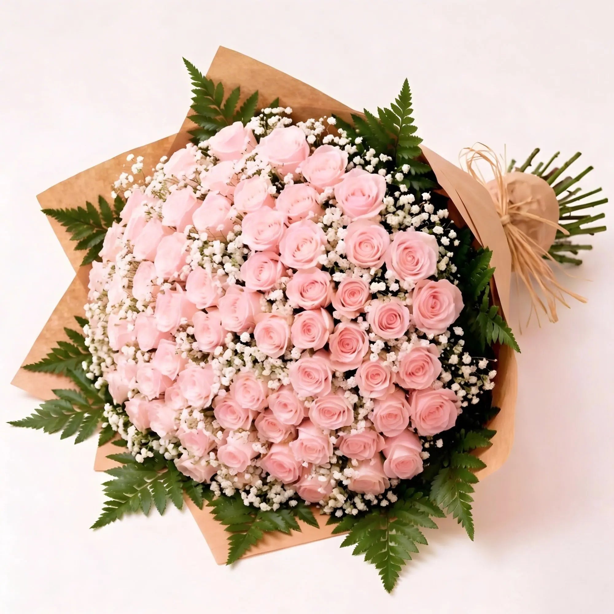 100 Light Pink Roses - Roses Everywhere