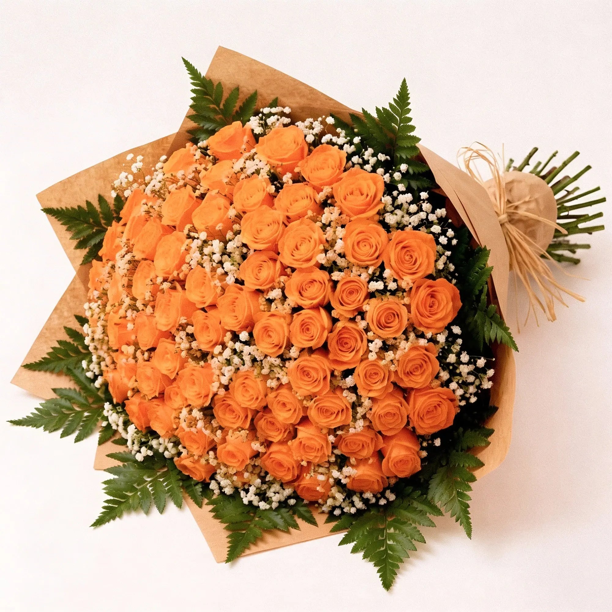 100 Orange Roses - Roses Everywhere