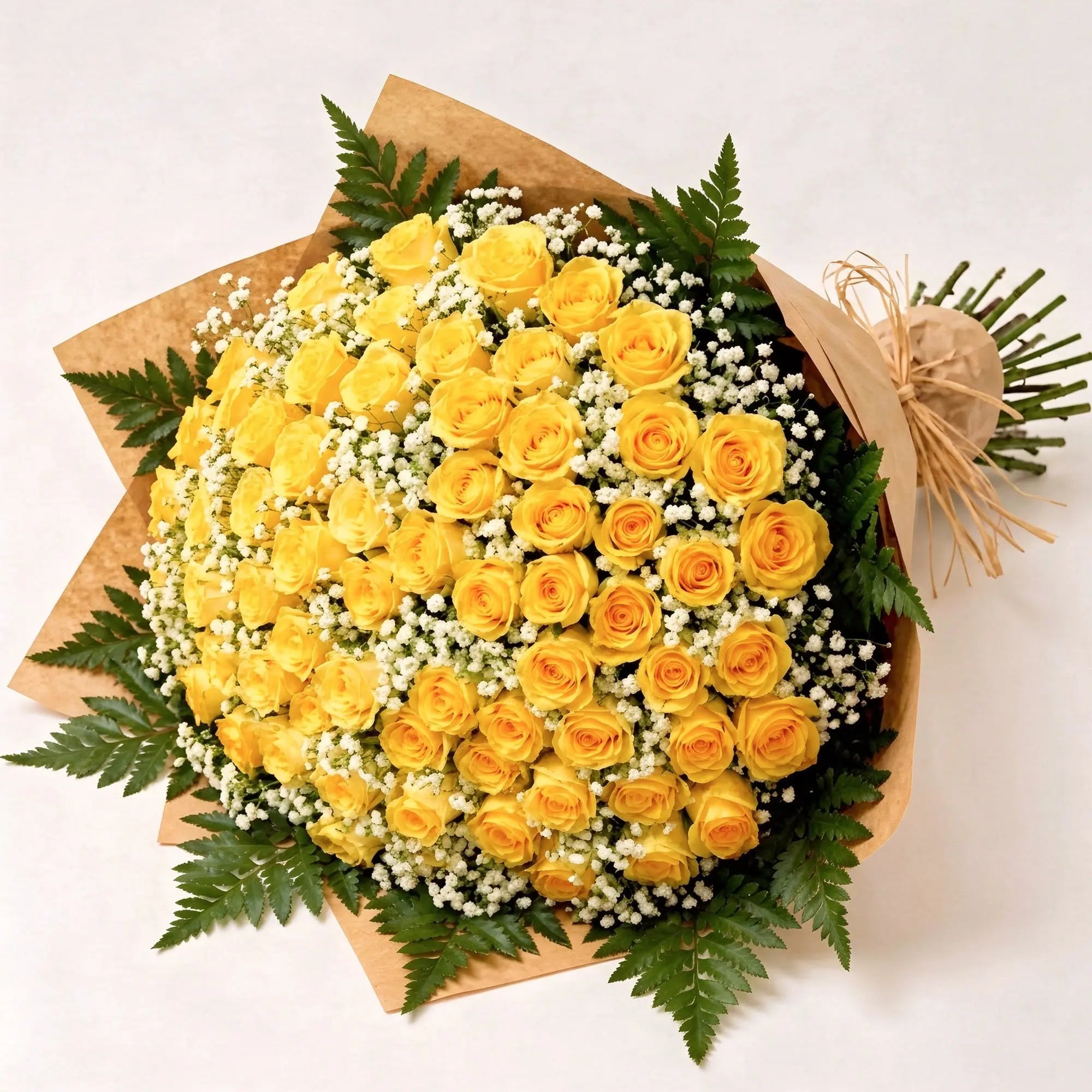 100 Yellow Roses - Roses Everywhere