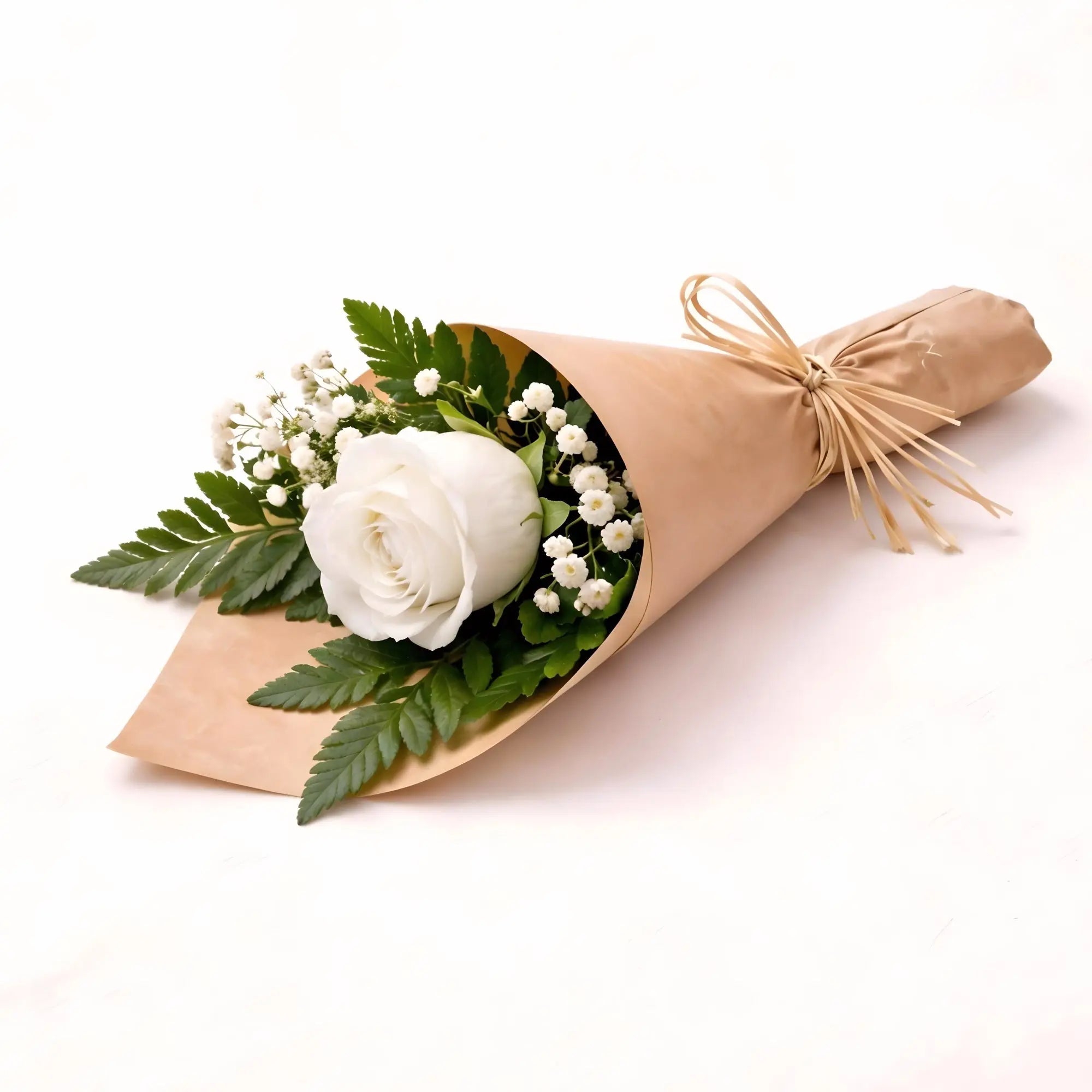 1 White Rose - Roses Everywhere