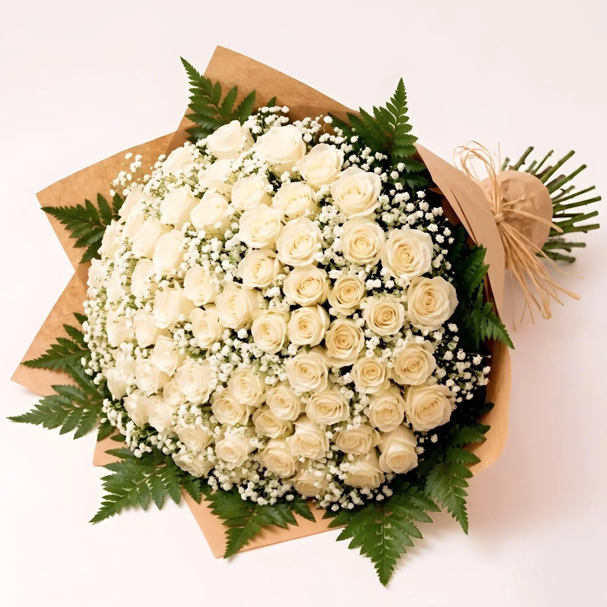 100 Cream Roses - Roses Everywhere
