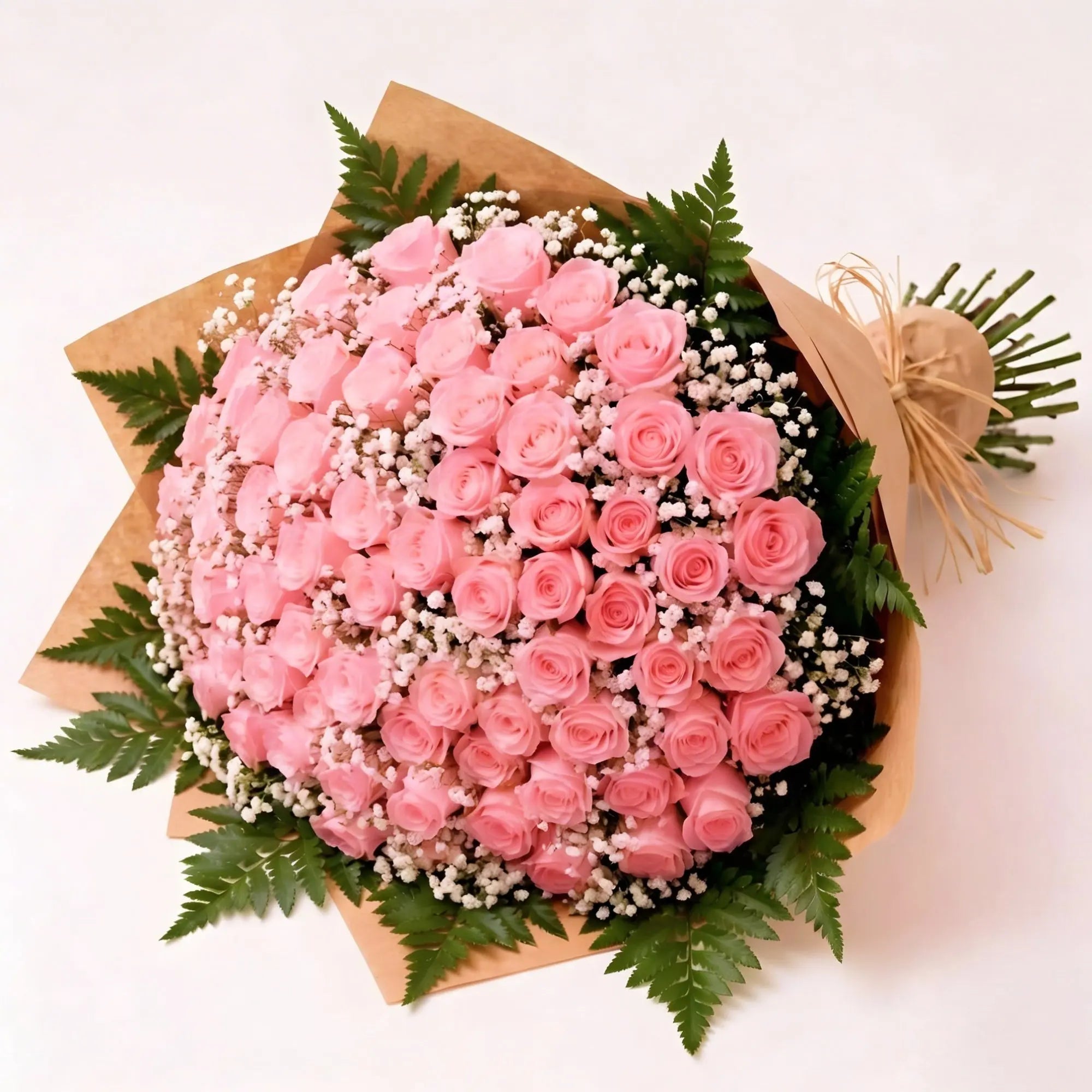 100 Pink Roses - Roses Everywhere