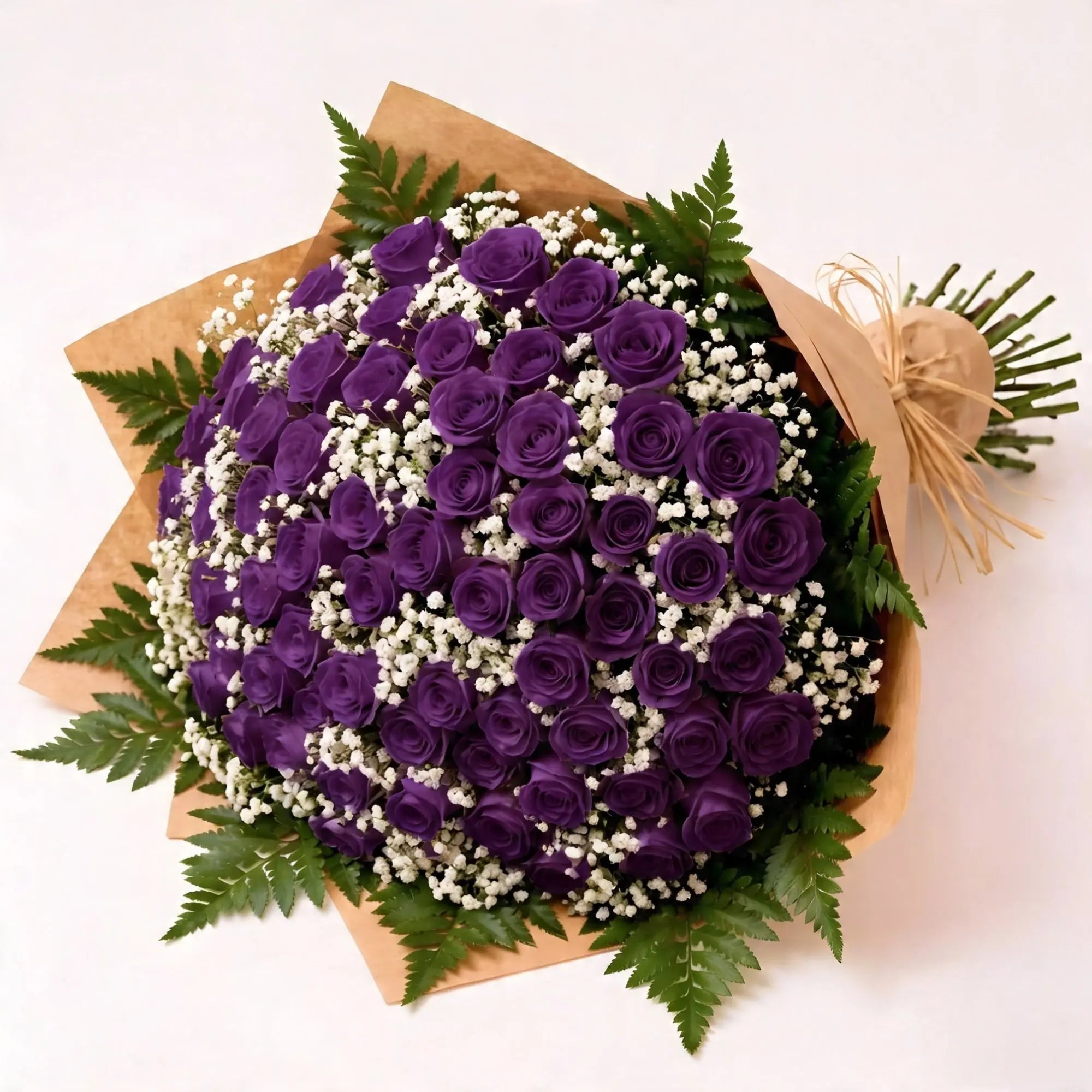 100 Purple Roses - Roses Everywhere