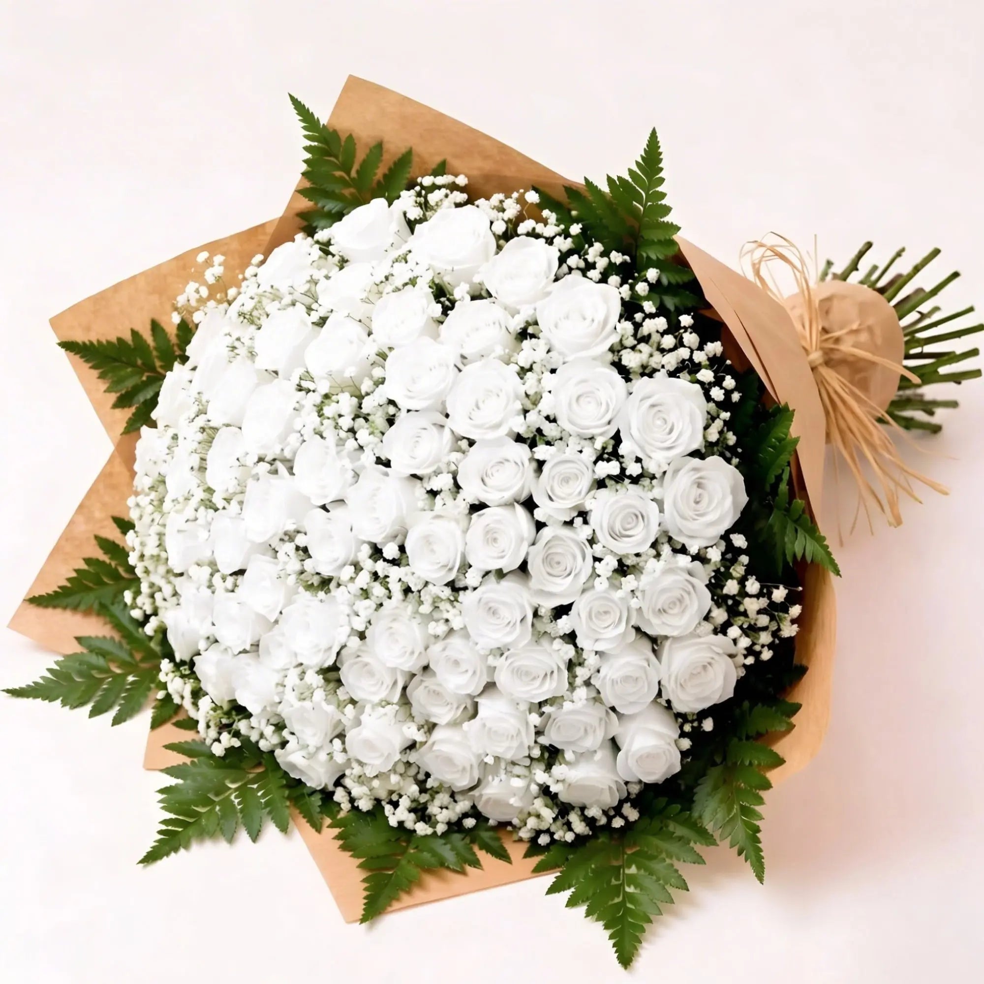 100 White Roses - Roses Everywhere