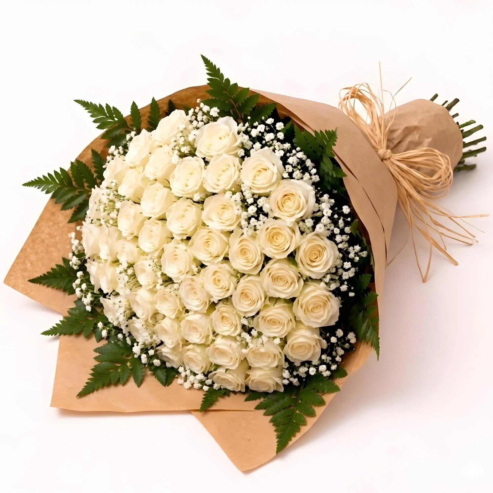 50 Cream Roses - Roses Everywhere