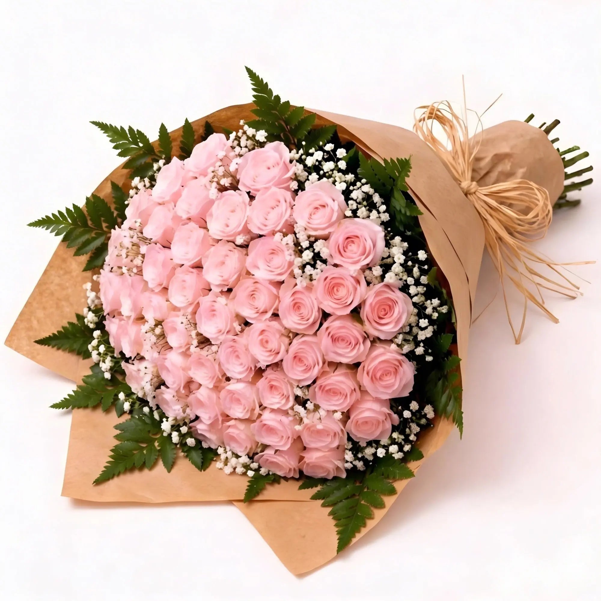 50 Light Pink Roses - Roses Everywhere