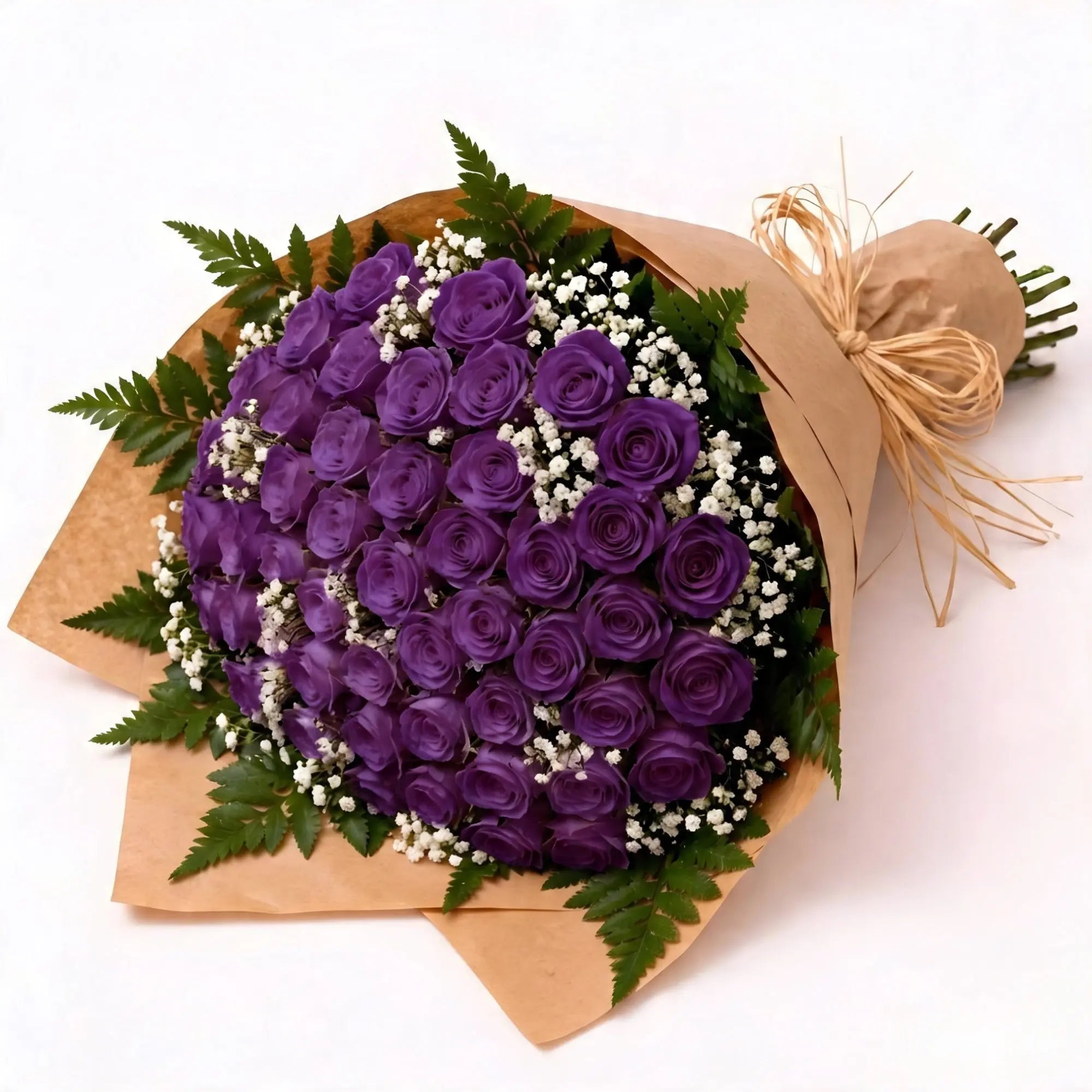 50 Purple Roses - Roses Everywhere