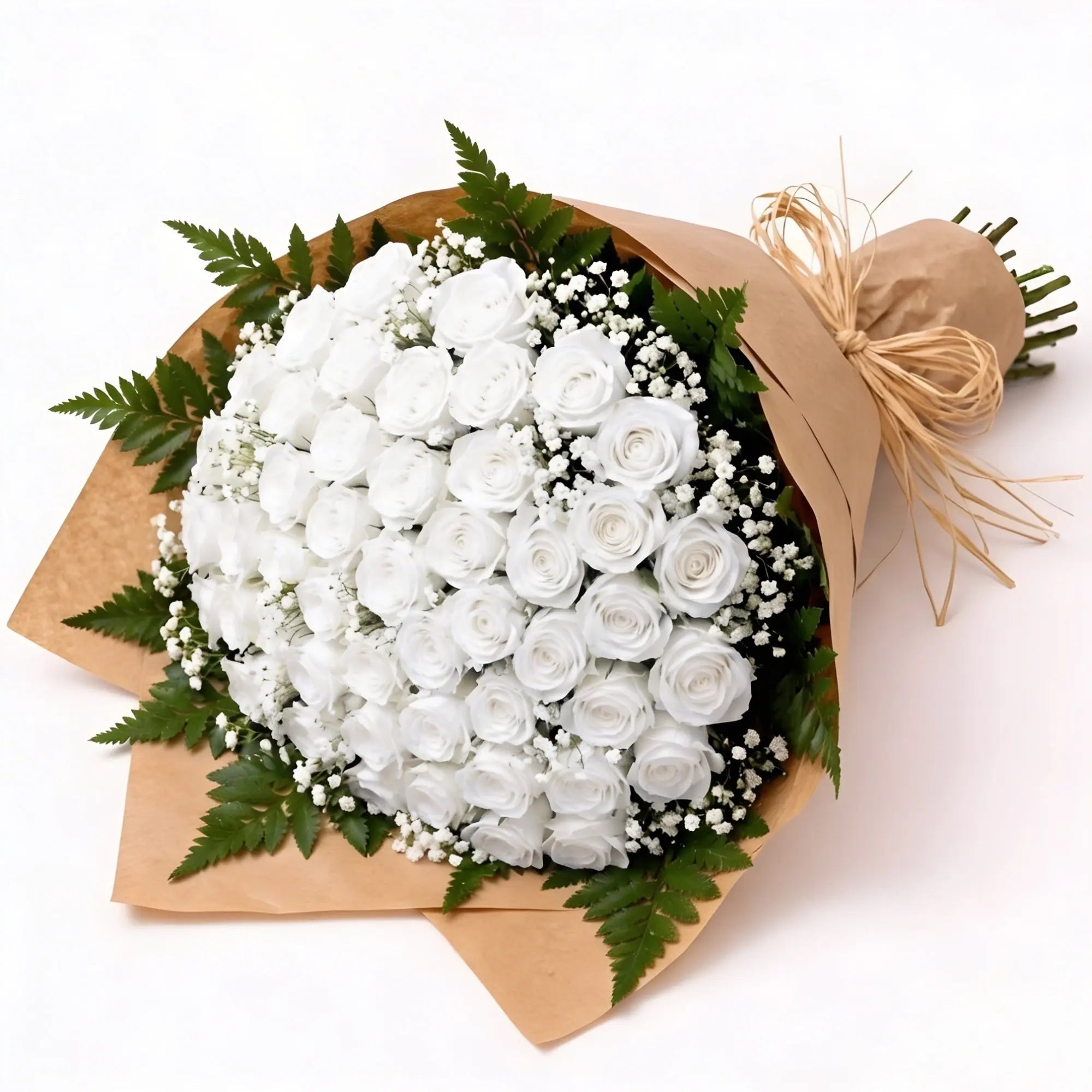 50 White Roses - Roses Everywhere