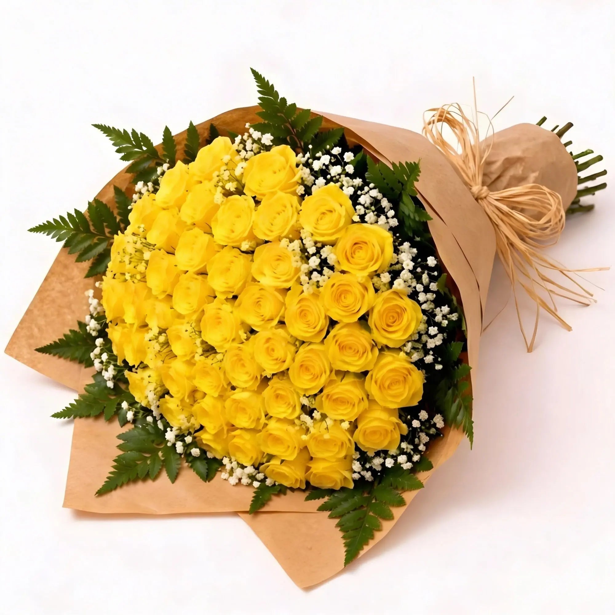 50 Yellow Roses - Roses Everywhere